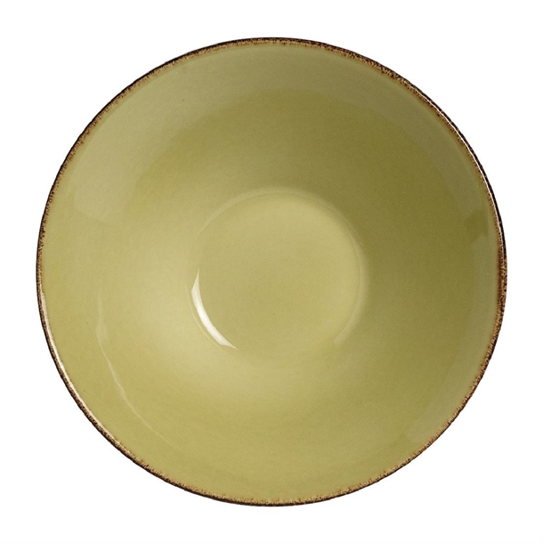 Steelite Terramesa Olive Essence Bowls 165mm (24 Pack) 1 Steelite Terramesa Olive Essence Bowls 165mm (24 Pack)